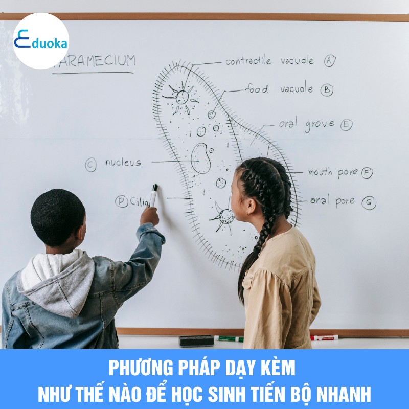 Phương pháp dạy kèm như thế nào để học sinh tiến bộ nhanh