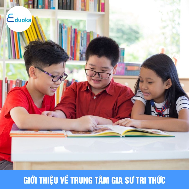 Giới thiệu về Trung Tâm Gia Sư Tri Thức