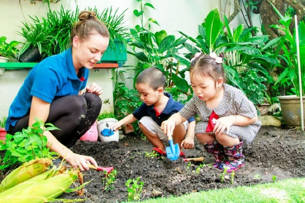 Trường Mầm non Mai Vàng