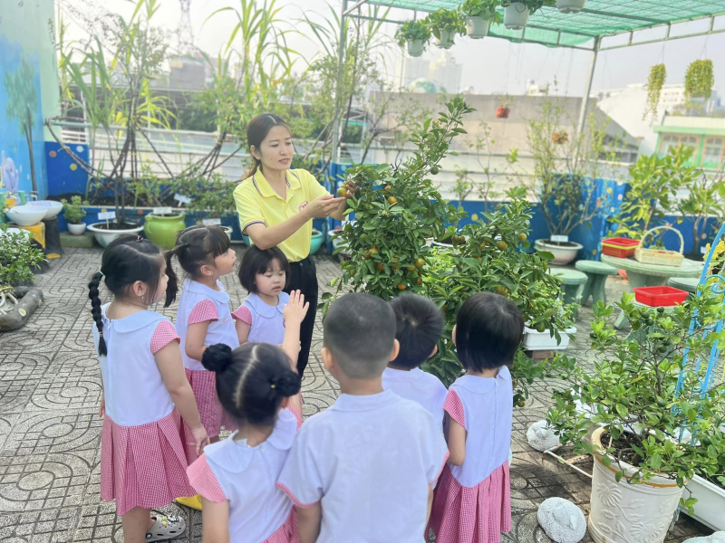 Mầm Non 19/5