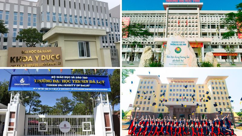 Các trường Đại học khối B miền Nam