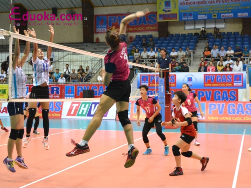 Học viện bóng chuyền quốc tế (IVA)