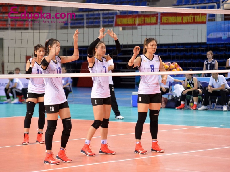 Trung tâm Bóng chuyền Trần Hưng Đạo