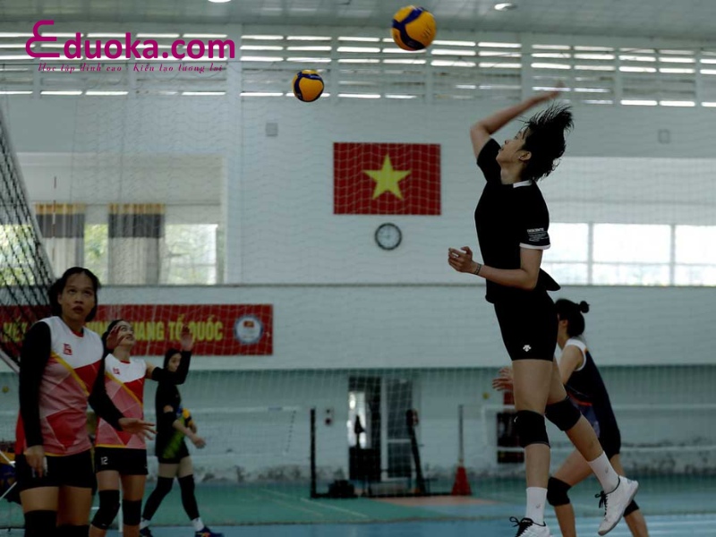 Trung tâm Đào tạo bóng chuyền Nhật Minh