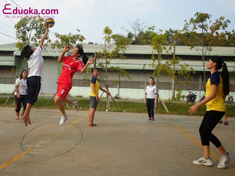 Sân bóng chuyền Tân Phú Cầu Tre