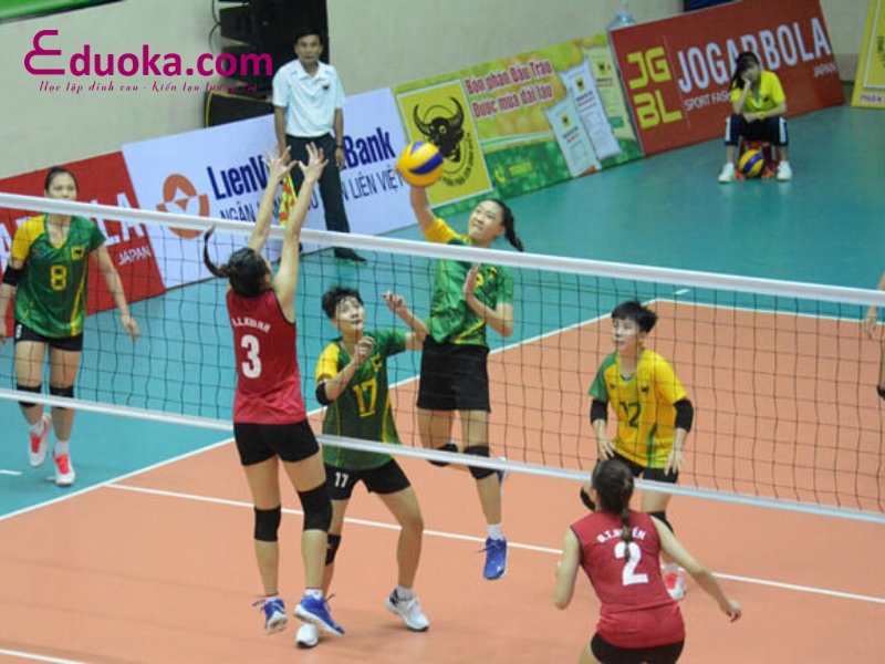 Trung tâm Huấn luyện và Thi đấu Thể dục thể thao Thành phố Hồ Chí Minh