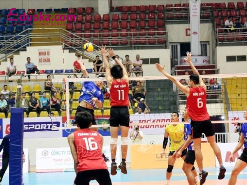 Trung tâm thể dục thể thao quận 12
