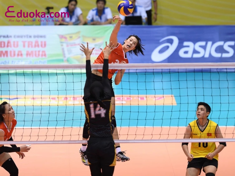 Trung Tâm Bóng Chuyền Đào Trinh