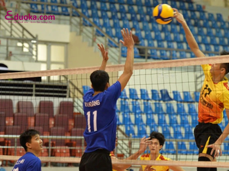 Trung Tâm Thể Hình Thẩm Mỹ Sao Mai