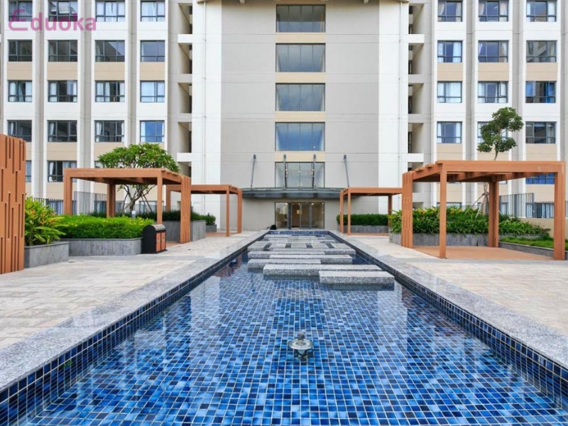 Eduoka - trung tâm giáo dục chuyên cung cấp khóa học bơi chất lượng tại TPHCM