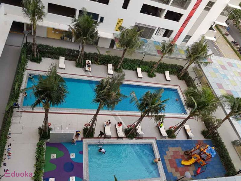 Giới Thiệu Chung Về Bể Bơi Chung Cư Hausneo
