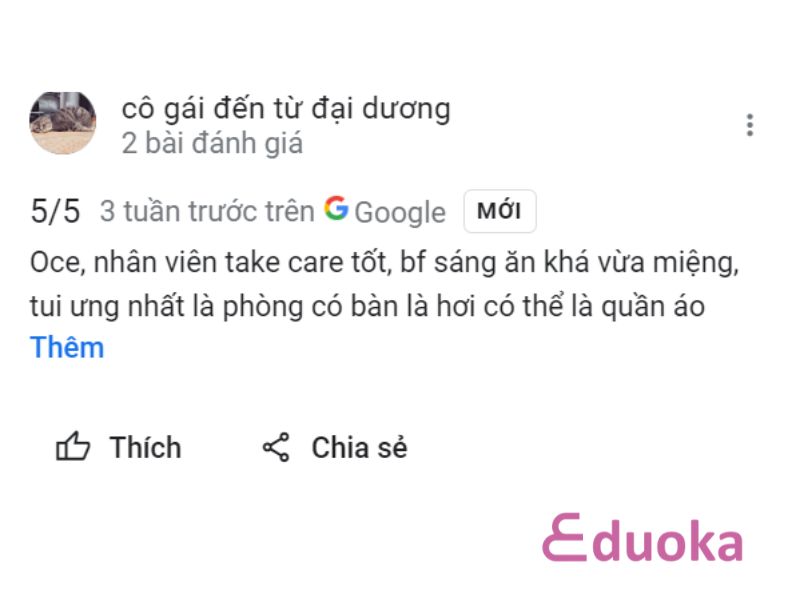 Trải Nghiệm của Khách Hàng về Hồ Bơi Khách Sạn Cochin Zen