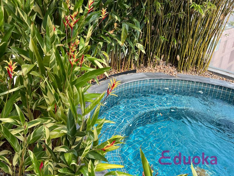 Giới Thiệu Chung về Hồ Bơi Khách Sạn Cochin Zen