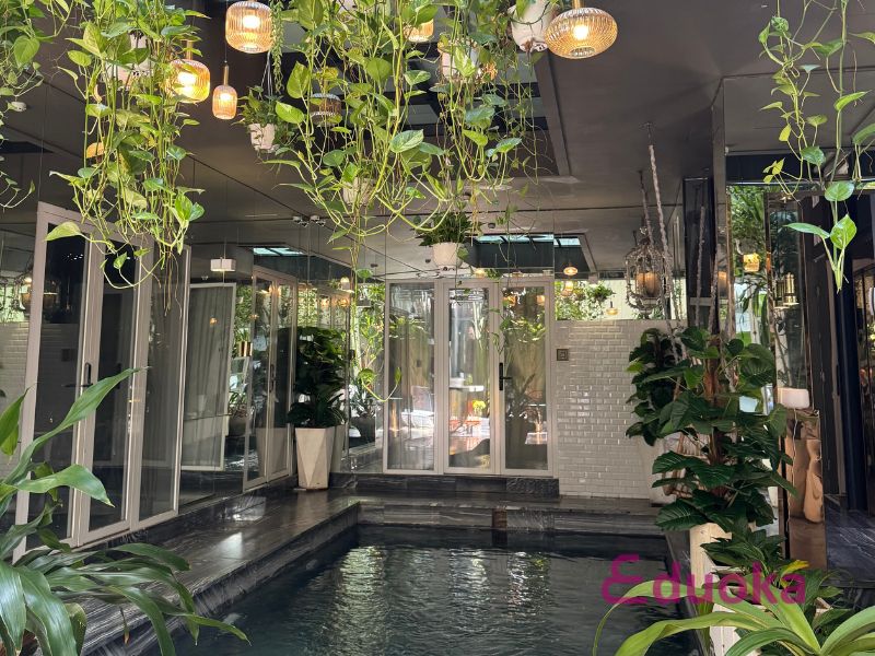 Tổng Quan Về Hồ Bơi Bed In Town Saigon