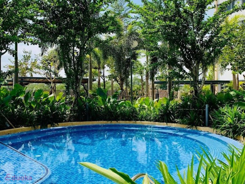 Dịch Vụ Tại Hồ Bơi Palm Heights
