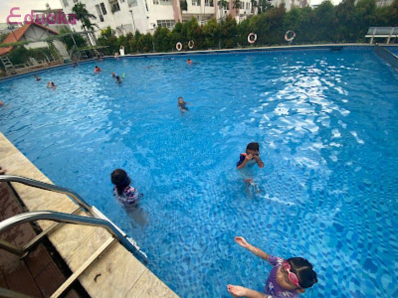 Eduoka: Nền tảng cung cấp các khóa học bơi uy tín hàng đầu tại Hồ Chí Minh