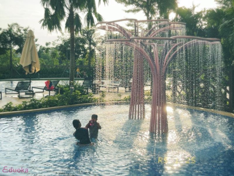 Eduoka - Trung Tâm Giáo Dục Hàng Đầu Với Lớp Học Bơi Uy Tín Tại TP.HCM