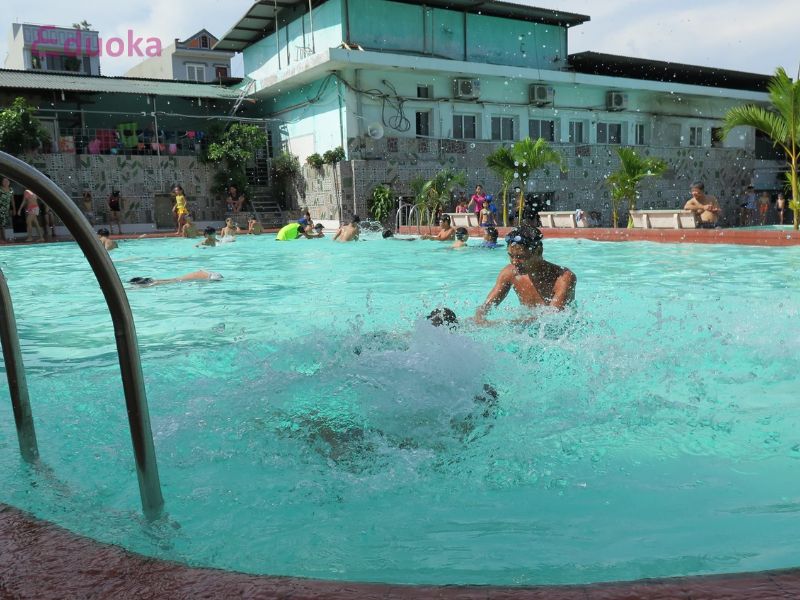 Giới Thiệu Chung Về Hồ Bơi Mèo Mun