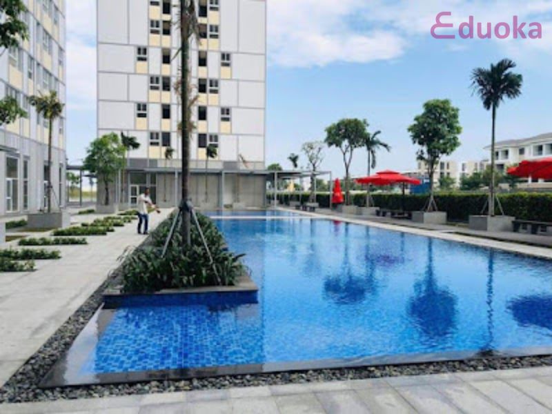 Giới thiệu chung về Hồ Bơi Chung Cư CitiSoho