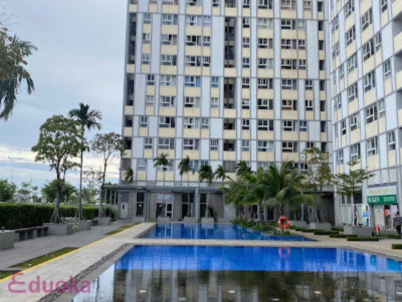 Eduoka - Điểm Đến Tin Cậy Cho Khóa Học Bơi Chuyên Nghiệp Tại TP.HCM