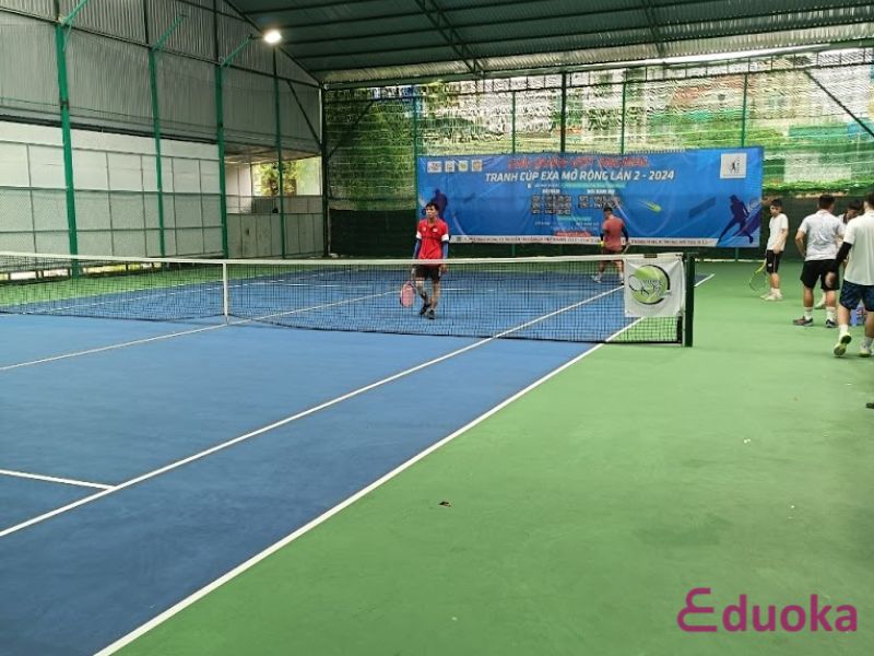 Tổng quan về Tennis Tuyển Sport