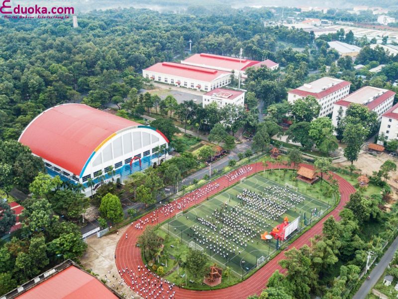 Trường Cao đẳng Công nghệ và Quản trị kinh doanh Becamex Bình Dương