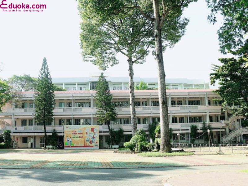 Trường Cao đẳng Xây dựng TP HCM