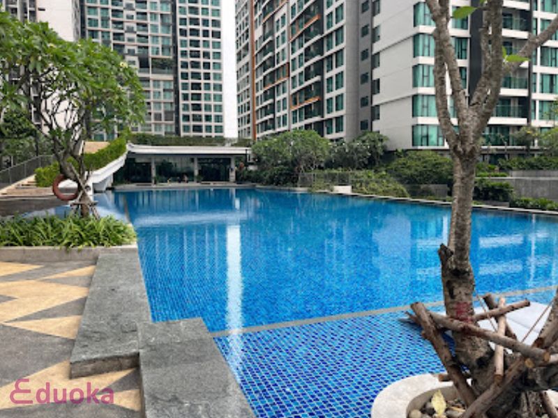 Lợi Ích Tại Bể Bơi Somerset Feliz