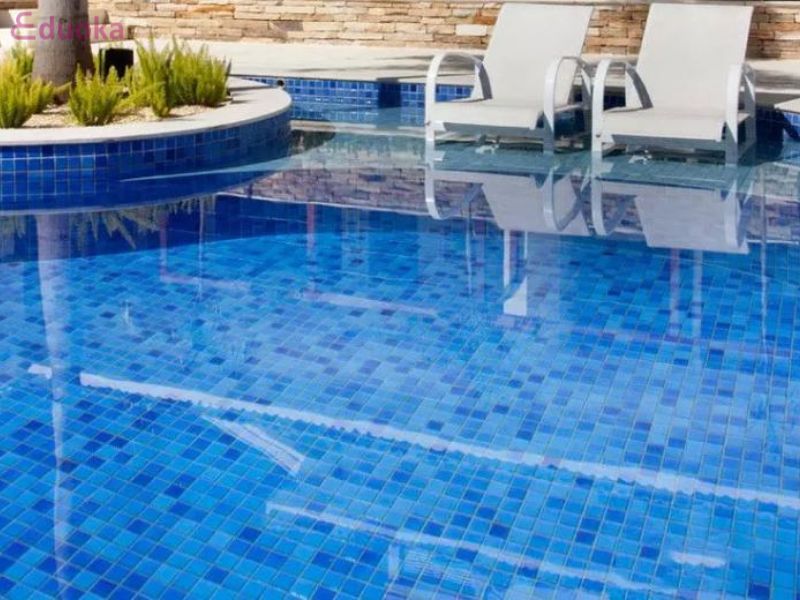Sơ lược Hồ Bơi New City Hotel