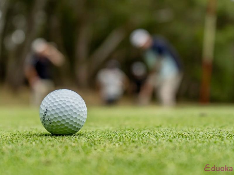 Chất lượng sân tập golf