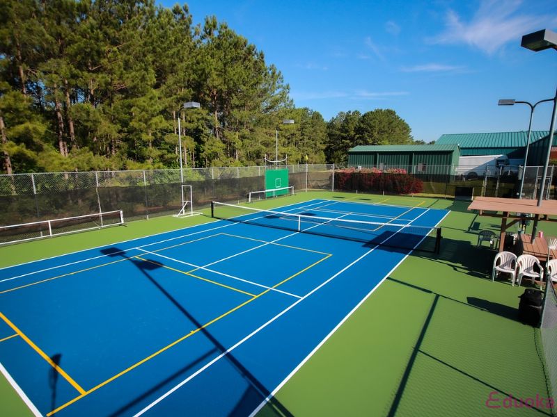 Kỹ thuật pickleball cơ bản