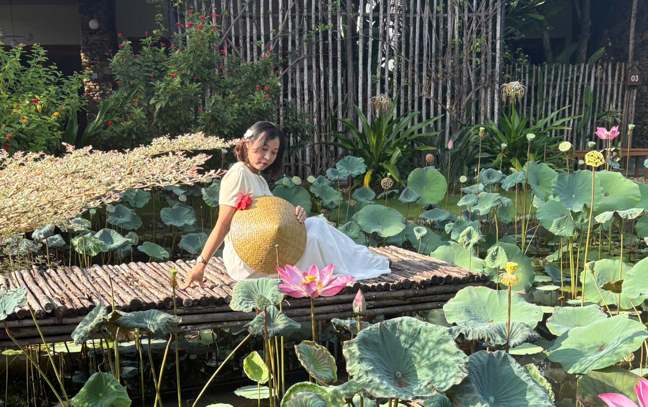 lớp vẽ Concobebe